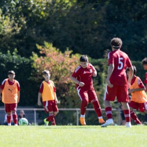 D-Turnier - SFV-Quality Club Zertifizierung